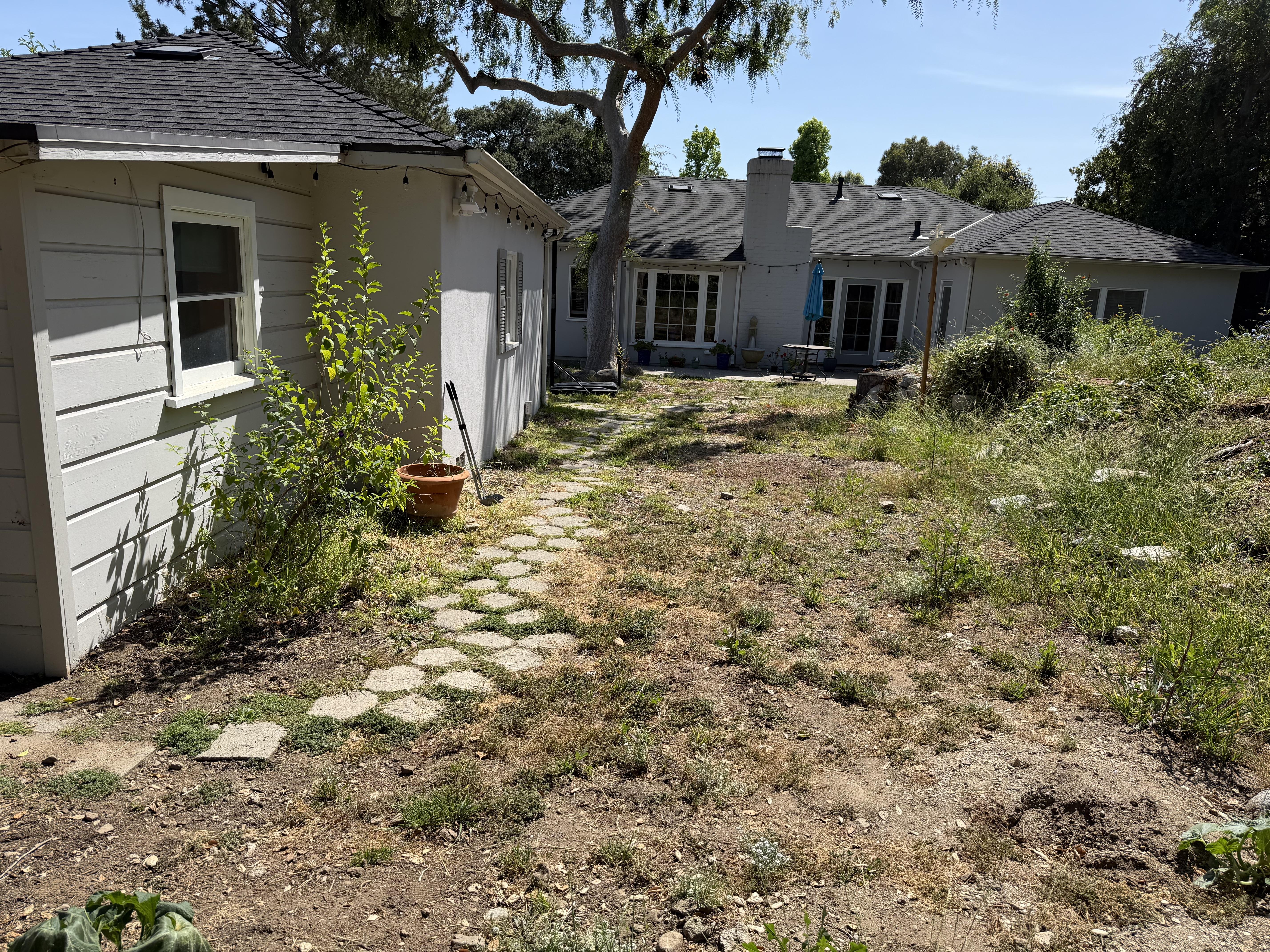 Dry residential yard with patchy grass, stepping-stone path, overgrown planting areas, and surrounding structures