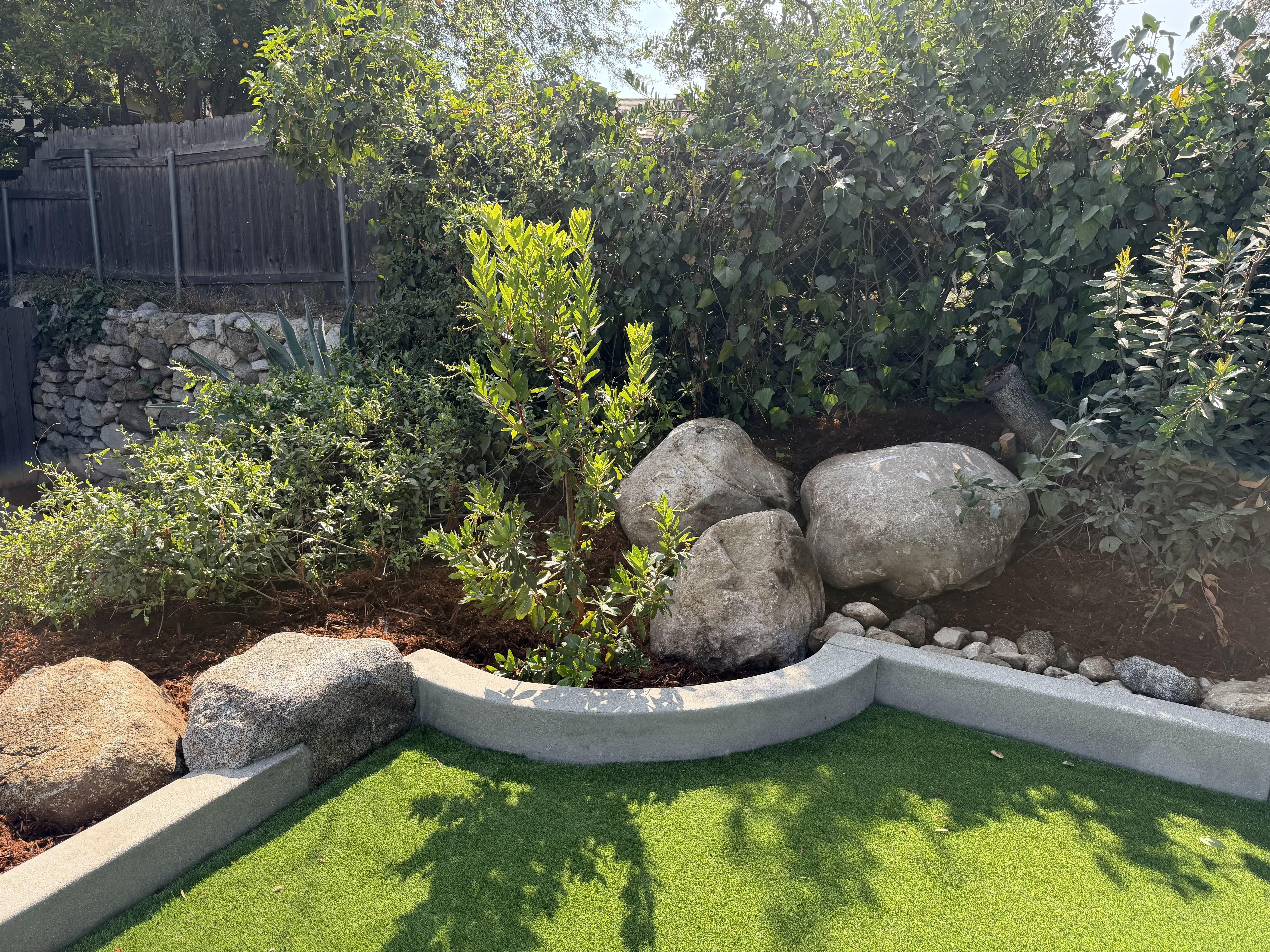 Cleaned up overgrown garden area with dense shrubs, planted and pruned new flowers, mature trees.